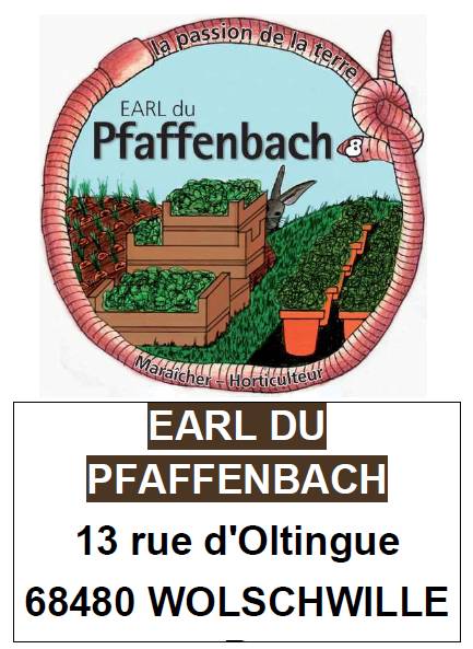 Earlpfaffenbach