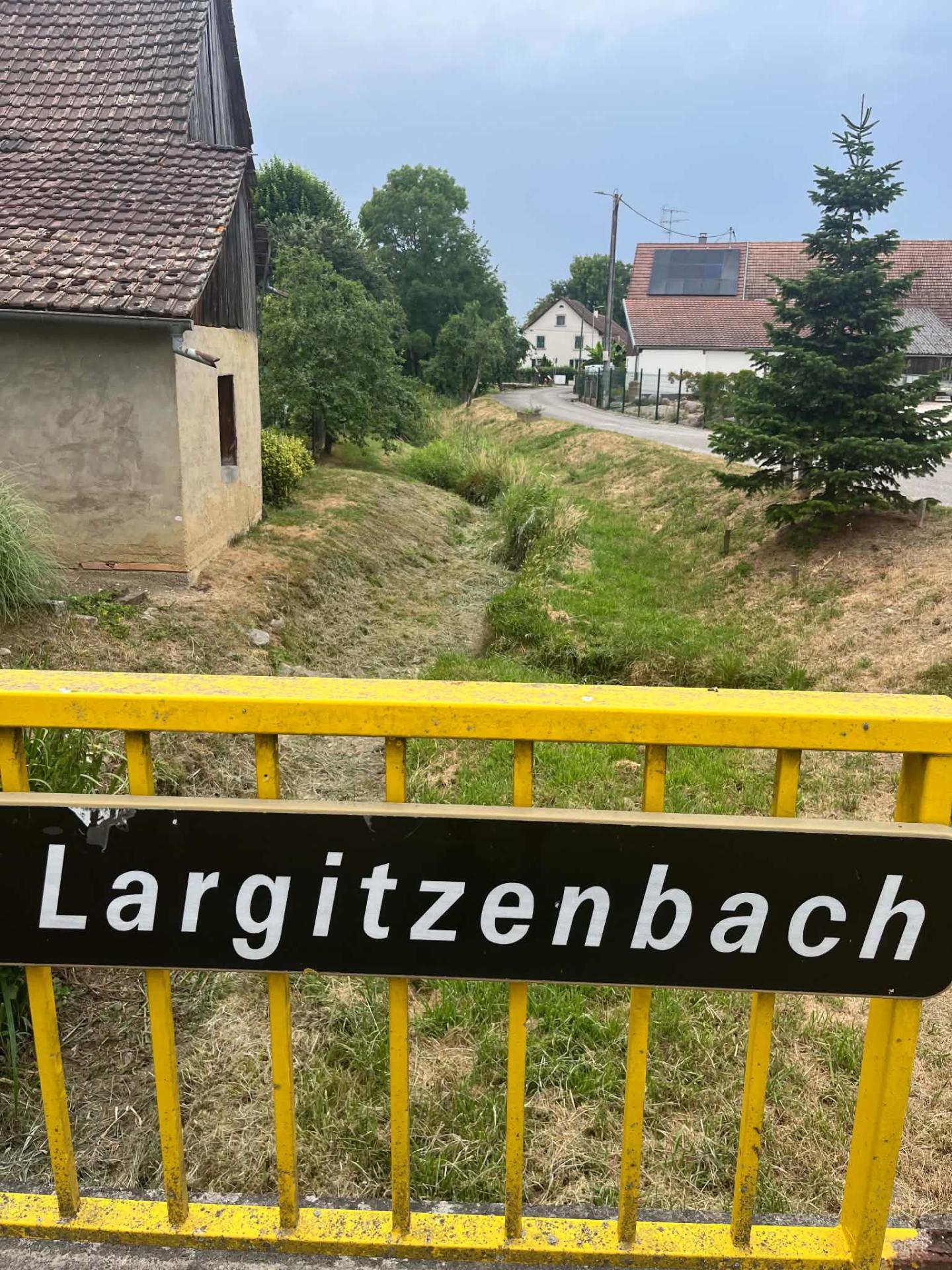 23