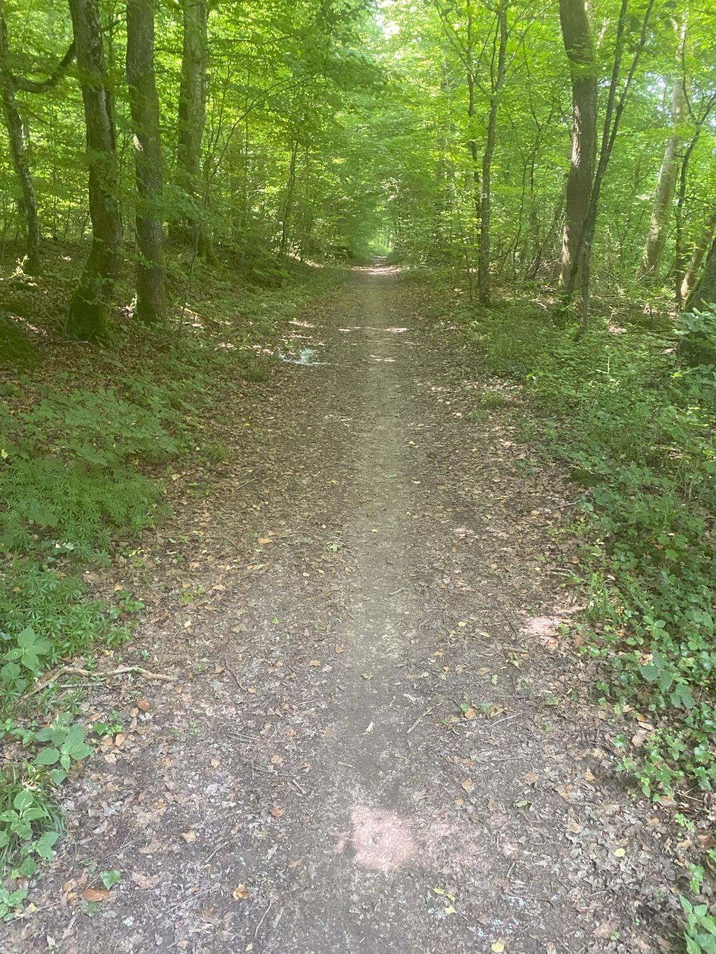 Img 3904