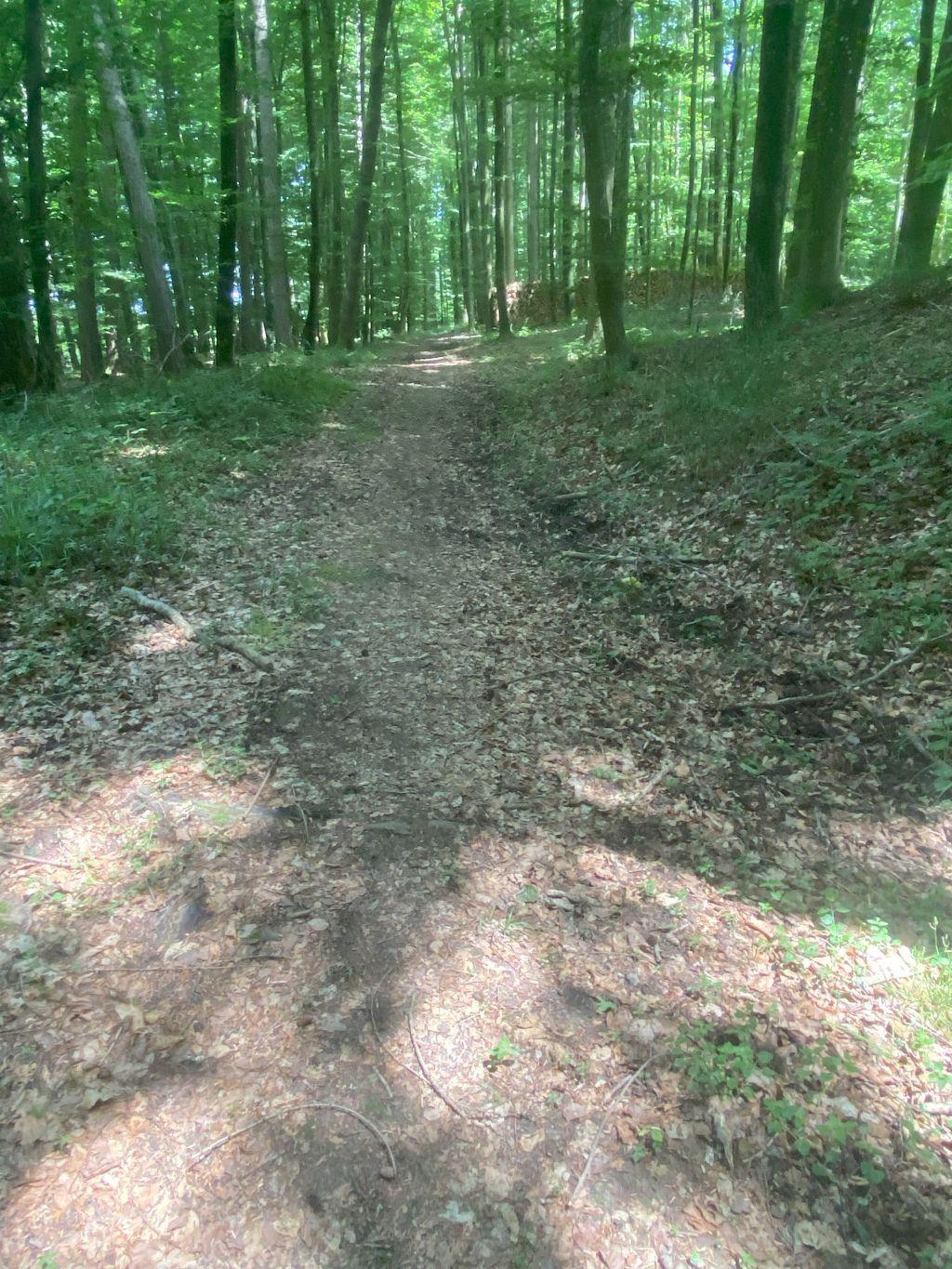 Img 3932